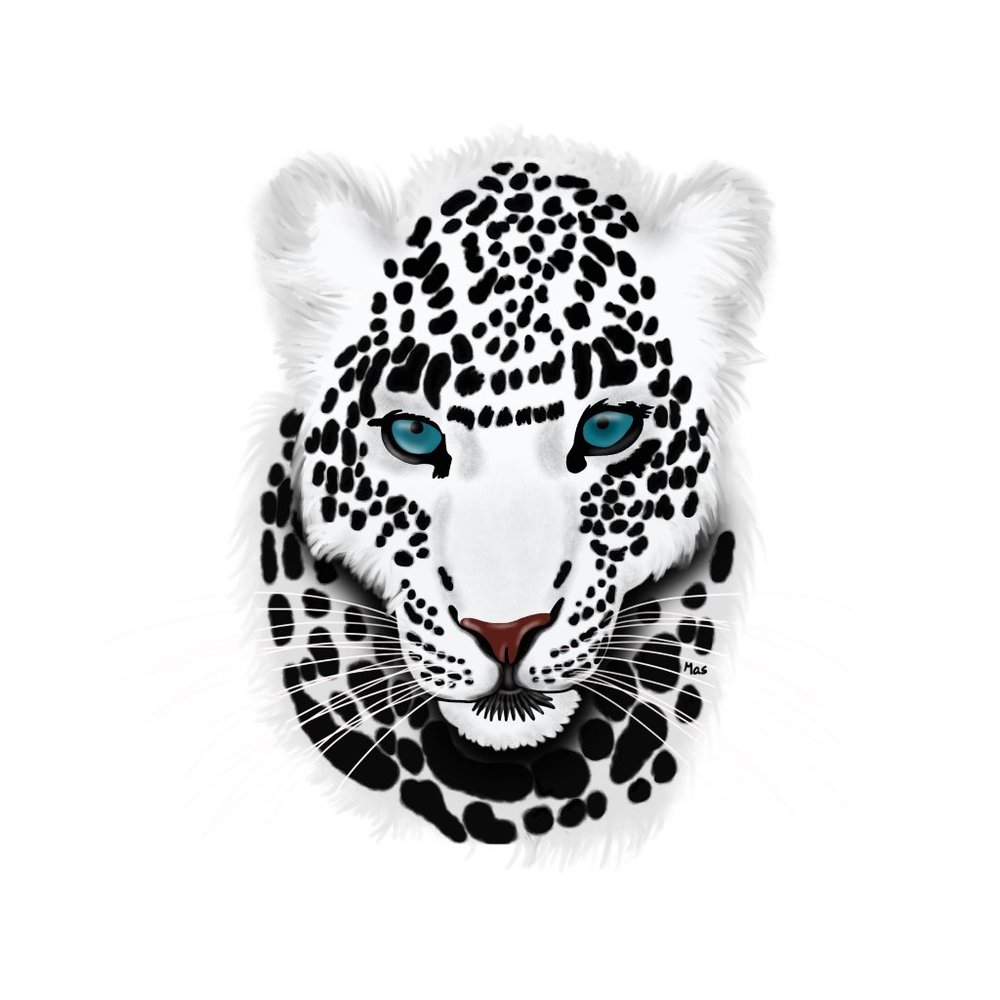 White Leopard - Picture 2 of 2